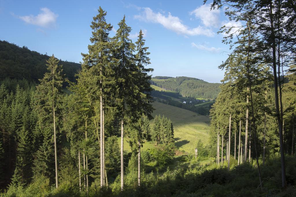 Landhaus Zum Sorpetal Hotell Schmallenberg Exteriör bild