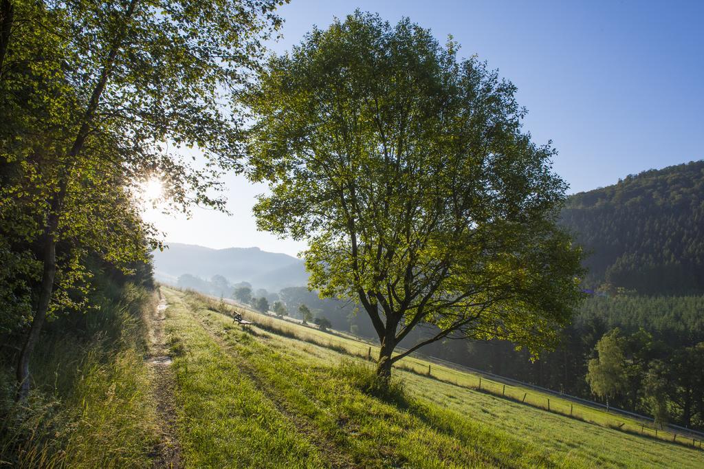 Landhaus Zum Sorpetal Hotell Schmallenberg Exteriör bild