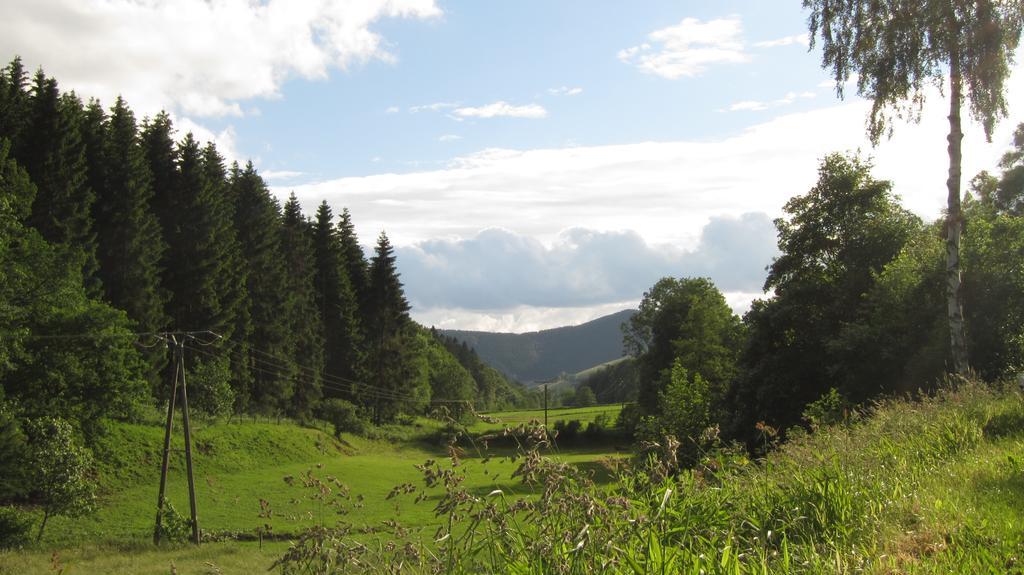 Landhaus Zum Sorpetal Hotell Schmallenberg Exteriör bild
