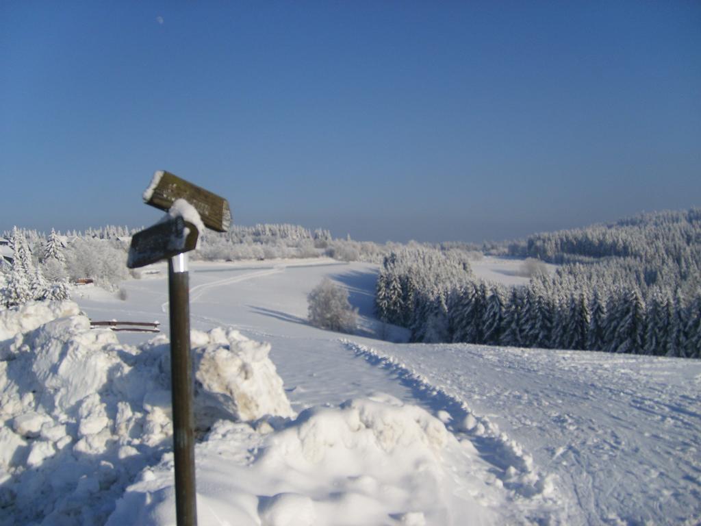 Landhaus Zum Sorpetal Hotell Schmallenberg Exteriör bild
