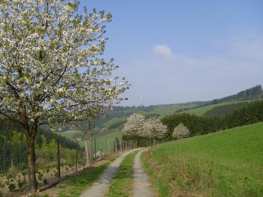 Landhaus Zum Sorpetal Hotell Schmallenberg Exteriör bild