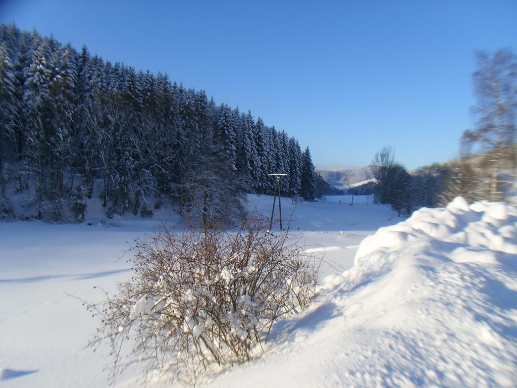 Landhaus Zum Sorpetal Hotell Schmallenberg Exteriör bild